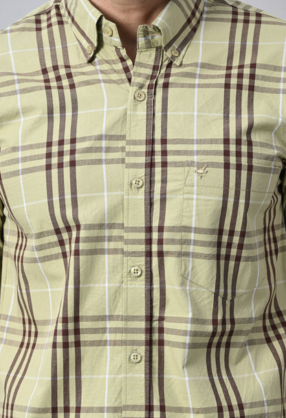 Light Olive and Brown Checked Cotton Shirt